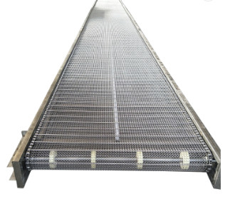 Rangieren Sie Latten-Spitzenkette Mesh Conveyor Belt System für Produktionsanlage aus