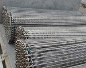 Tiande-Edelstahl-flache Flex Belt Metal Belt Conveyor-Kettenmasche
