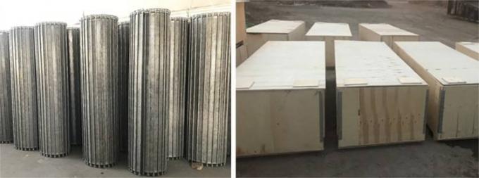 Galvanisiertes eingeh&auml;ngtes Edelstahl-F&ouml;rderband-Draht-Hufeisennetz 8