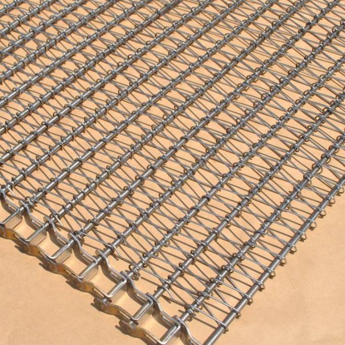 Kundengebundene Korrosionsbeständigkeits-Frucht-Schokoladen-Förderband-Kette gefahren 1