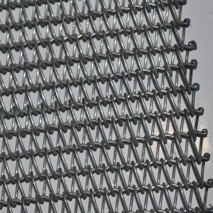 Kundengebundene Korrosionsbeständigkeits-Frucht-Schokoladen-Förderband-Kette gefahren 13