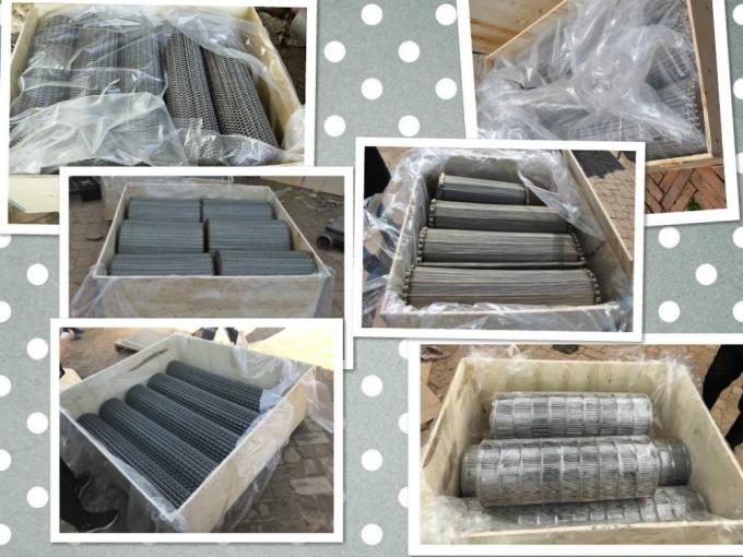 SUS316L-Edelstahl-Conveyable F&ouml;rderband-Herstellung Mesh Wire 6